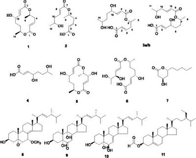 Secondary metabolites and their bioactivities from Paecilomyces gunnii YMF1.00003